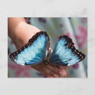 Cartão Postal Borboleta Azul Morpho