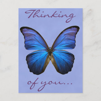 Cartão Postal Borboleta Belga Azul Morpho