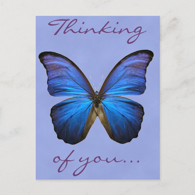 Cartão Postal Borboleta Belga Azul Morpho (Frente)
