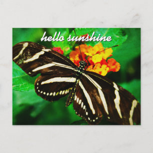 Cartão Postal Borboleta Black White Stripe Hello Sunshine Script