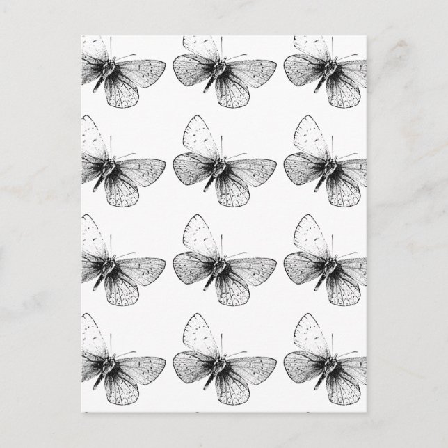 Cartão Postal Borboleta da Pop Art (Frente)