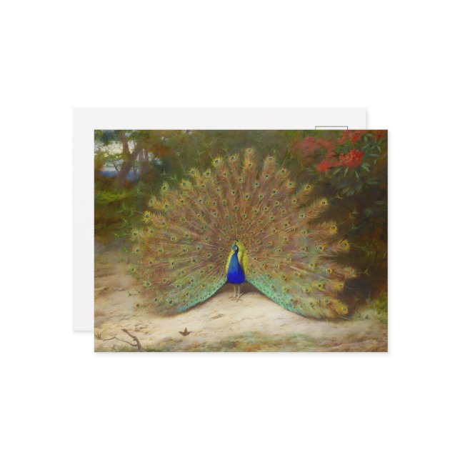 Cartão Postal Borboleta de Peacock e Peacock, Ilustração de Arte (Frente/Verso In Situ)