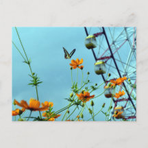 Borboleta do Triângulo Azul e Flores do Cosmos: Ja