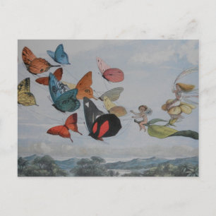 Cartão Postal Borboleta e borboletas-de-fada rainha das borbolet