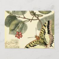 Borboleta e Dragonfly com Flores Vermelhas