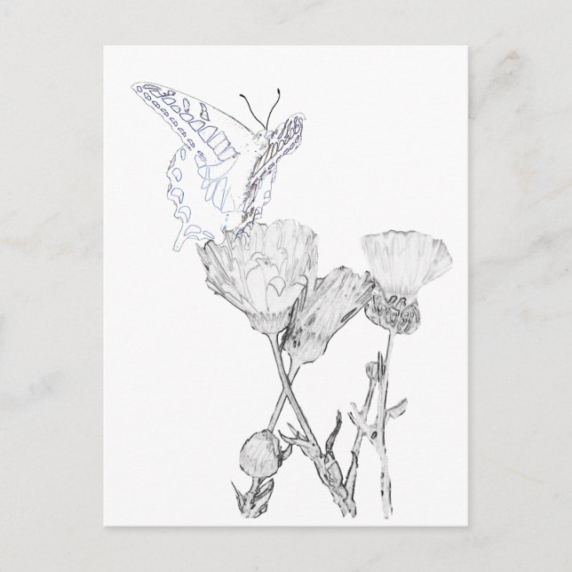 Cartão postal - Borboleta e Flores para Colorir (Frente)
