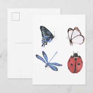Cartão Postal Borboleta e insetos aquarela