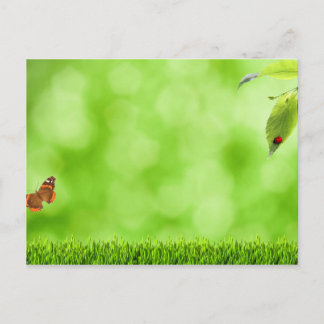 Cartão Postal Borboleta e Ladybug sobre Grama