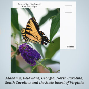 Cartão Postal Borboleta Estadual Eastern Tiger Swallowtail Foto