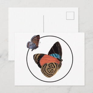 Cartão Postal Borboleta exótica colorida em moldura circular