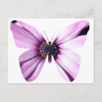 Borboleta Flor