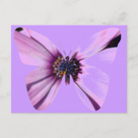 Borboleta Flor