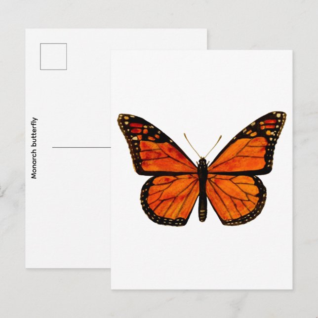 Cartão Postal Borboleta monarca Pequena (Frente/Verso)