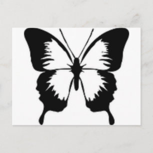 Cartão Postal Borboleta Preta