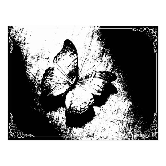 Cartao Postal Borboleta Preto E Branco Zazzle Com Br