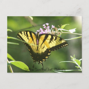 Cartão Postal Borboleta SwallowTail Amarela