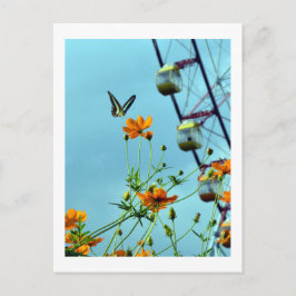 Cartão Postal Borboleta Triângulo Azul & Flores Cosmos: Japão