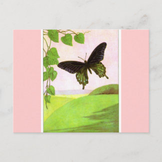 Cartão Postal Borboleta Verde bonito
