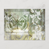 Borboleta Verde Interessa com Porta de Ironagem