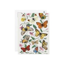 Borboleta Vintage e pintura de Mata