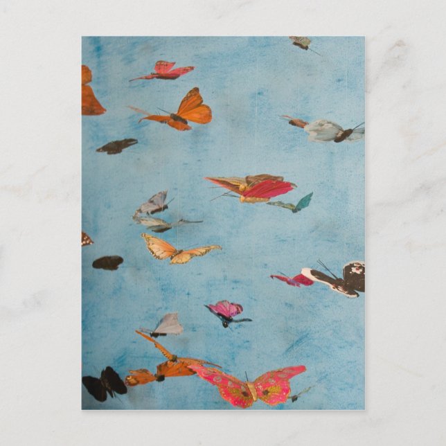 Cartão Postal Borboletas (Frente)