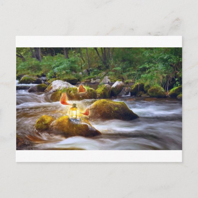 Cartão Postal Borboletas (Frente)