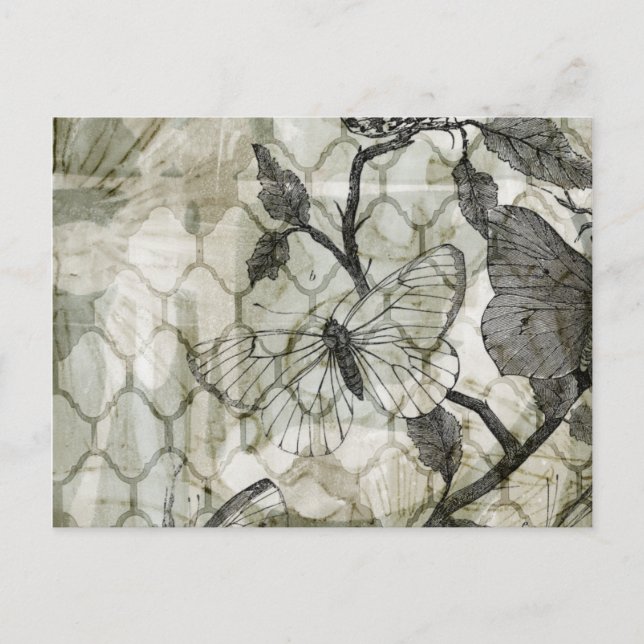 Cartão Postal Borboletas árabes II (Frente)