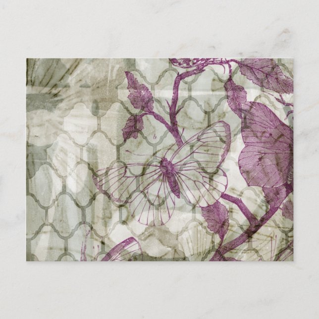 Cartão Postal Borboletas árabes IV (Frente)