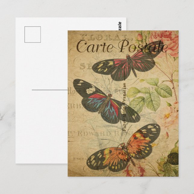 Cartão Postal Borboletas bonito (Frente/Verso)