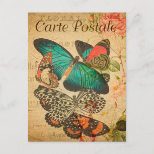 Cartão Postal Borboletas coloridas e francês da mariposa