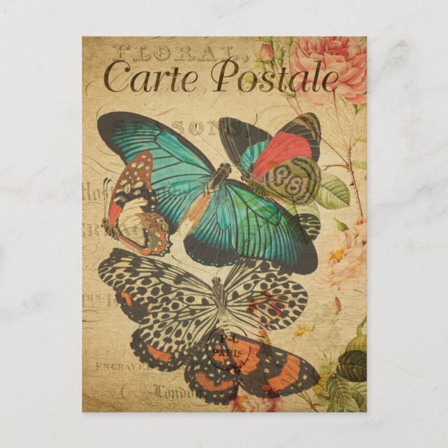 Cartão Postal Borboletas coloridas e francês da mariposa (Frente)