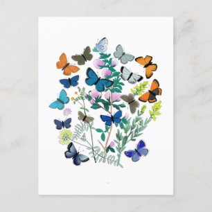 Cartão Postal Borboletas de Aquarela Flores Primavera Verão
