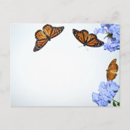 Cartão Postal Borboletas do Springtime