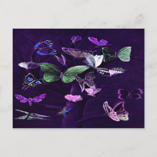 Cartão Postal Borboletas Em Roxo