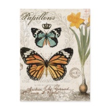 Borboletas francesas antigas