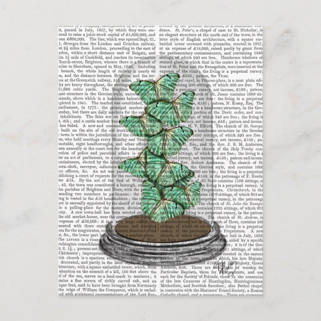 Cartão Postal Borboletas verdes na barra 2 (Frente)