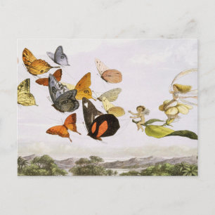 Cartão Postal Borboletas Vintage e velhas ilustrações