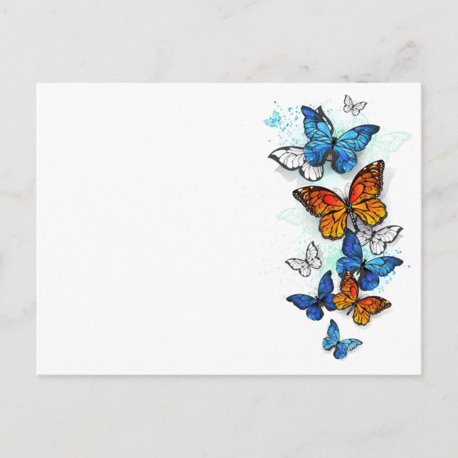 Cartão Postal Borboletas voadoras Morpho e Monarca (Frente)
