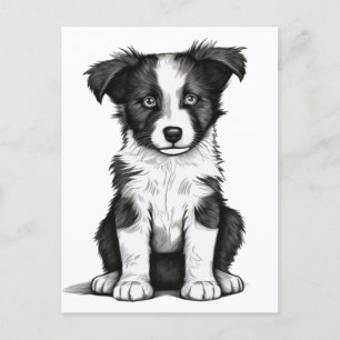 Cartão Postal Borda Collie Sheepdog Australiano Shephard Puppy
