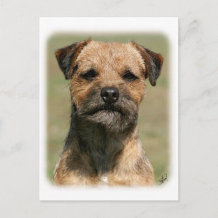 Cartão Postal Borda Terrier 9Y325D-038