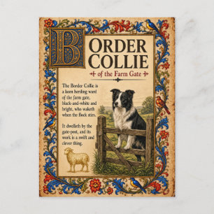 Cartão Postal Border Collie, Arte Medieval de Bestiário
