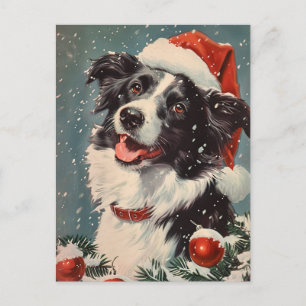 Cartão Postal Border Collie Christmas