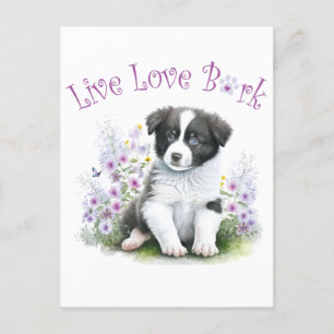 Cartão Postal Border Collie Dog Mãe Floral