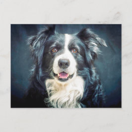 Cartão Postal Border Collie Dog Portrait