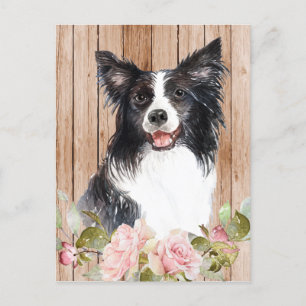 Cartão Postal Border Collie & Flores em Aquarela