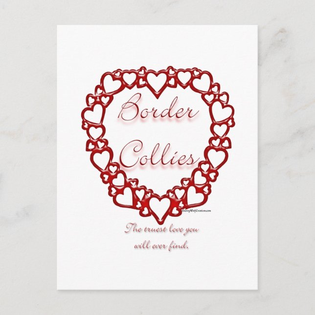 Cartão Postal Border Collie True Love (Frente)
