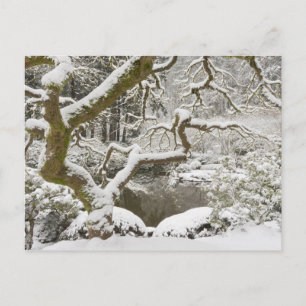 Cartão Postal Bordo japonês coberto de neve