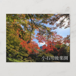Cartão Postal Bordo Maples no Jardim Japonês