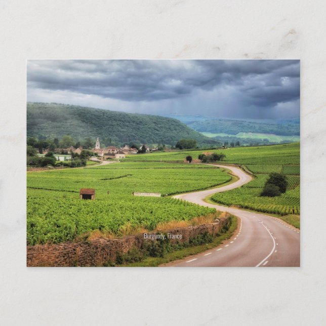 Cartão Postal Borgonha, vinha de França, (Frente)