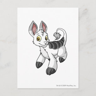 Cartão Postal Bori Branco